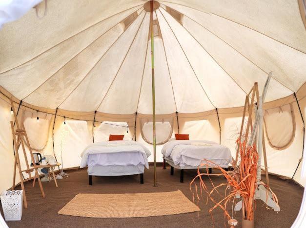 Safari Desert Camp Shāhiq Eksteriør bilde
