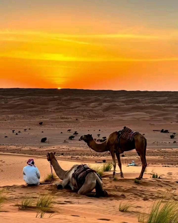 Safari Desert Camp Shāhiq Eksteriør bilde